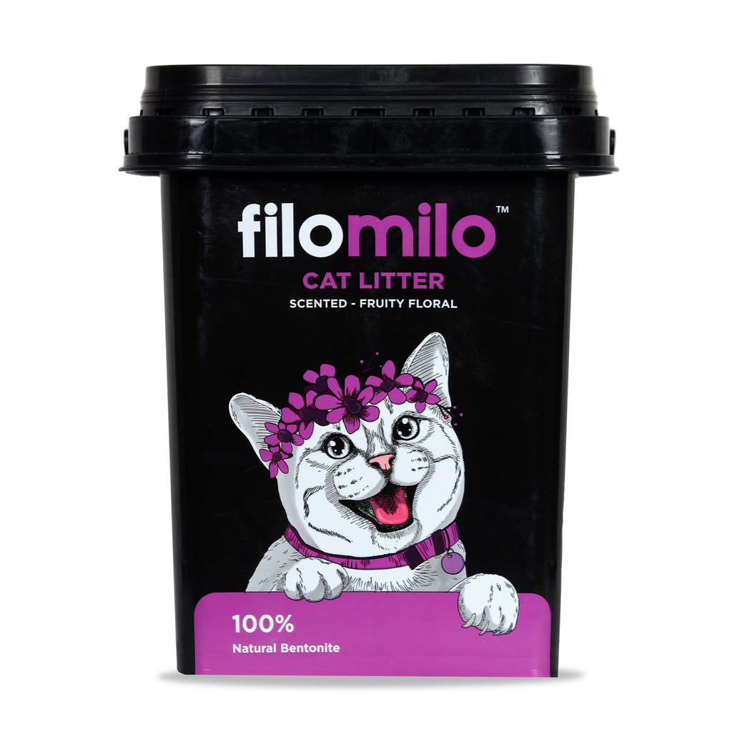 https://cdn.apnnews.com/wp-content/uploads/2022/01/FilpMilo-Cat-Litter-By-TABPS-Pets_3.jpeg